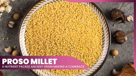 Proso Millet: A Forgotten Indian Millet With ...